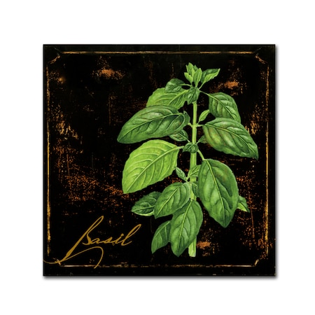 Color Bakery 'Black Gold Herbs IV' Canvas Art,14x14